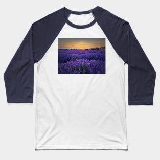 Idyllic lavender field Baseball T-Shirt